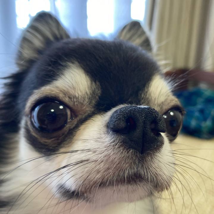 Ffd8a22e 0d53 4b6c 9319 c096ab575d31 1660316666277