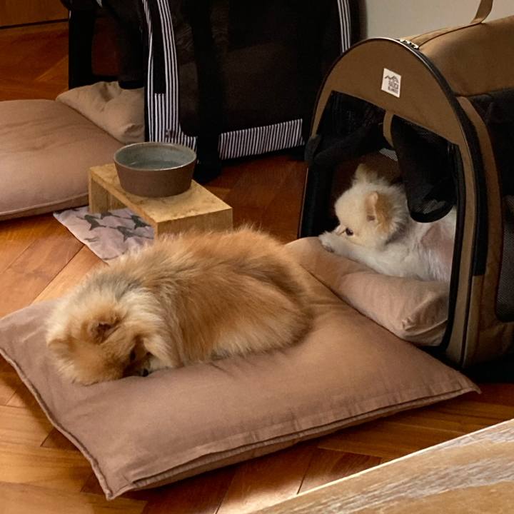 Ffd8b649 254c 42cb 8ba2 c0bd0881b2cb 1681082456204