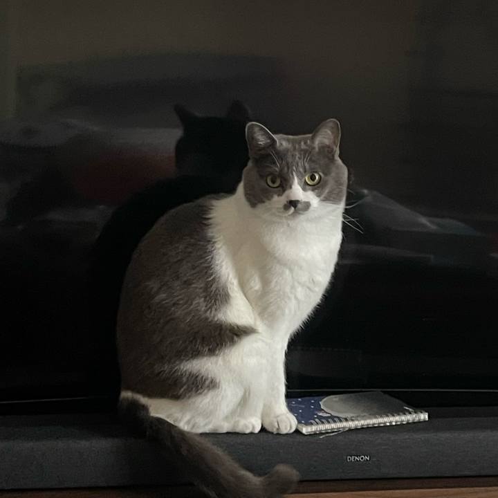 Ffd8bcb3 ec18 4c48 9acf 74bd42a47d2f 1673664474578