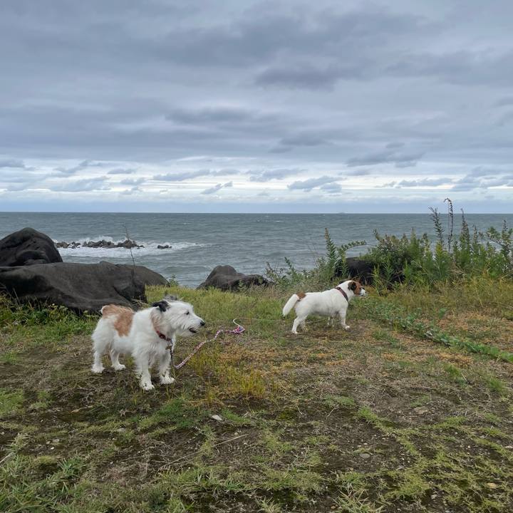 Ffd8d904 e83b 48ed b38a 4a98cf1524a4 1760325114830