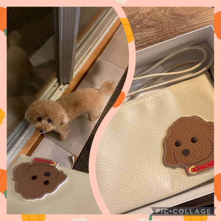 Ffd8d918 9d57 466b 893b 8bced22fd368 1665137389591