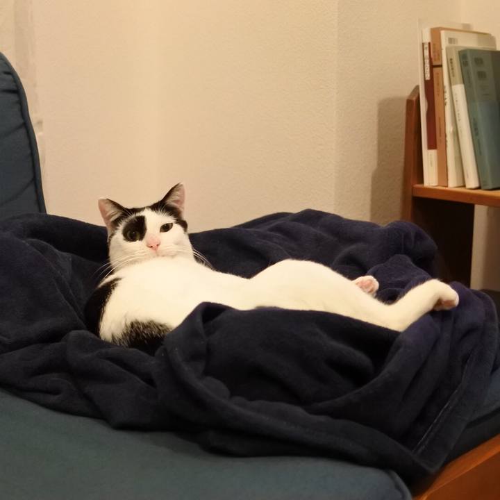 Ffd8da62 5d99 45fc bdc7 a8d5d6a26101 1541395182712