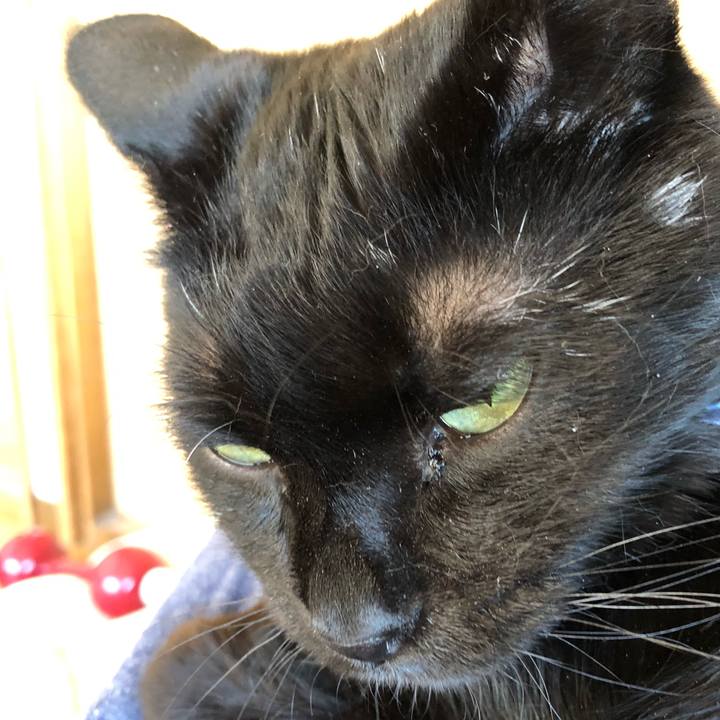 Ffd8e226 0a43 49ae 9d42 f07d3156e08e 1556433458404