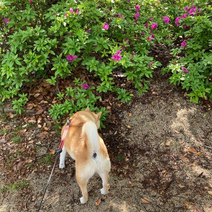 Ffd8e497 f37f 423d afa4 617b4123c6b2 1618452153002