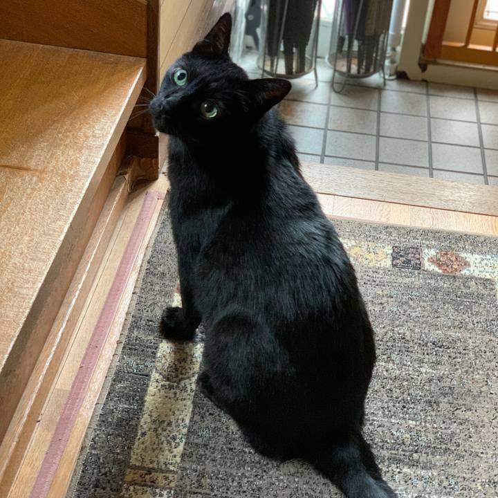 Ffd8f759 db58 4b71 8e02 24f6a9cf3d92 1588812803789