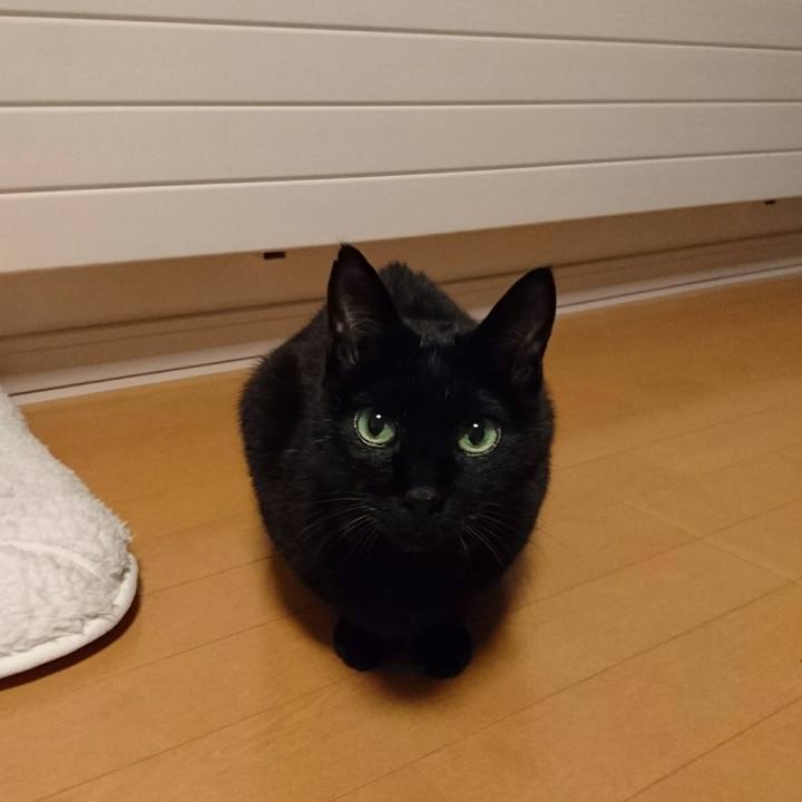 Ffd9013d a0ea 4b81 811a ced8dfa34f99 1511184218342