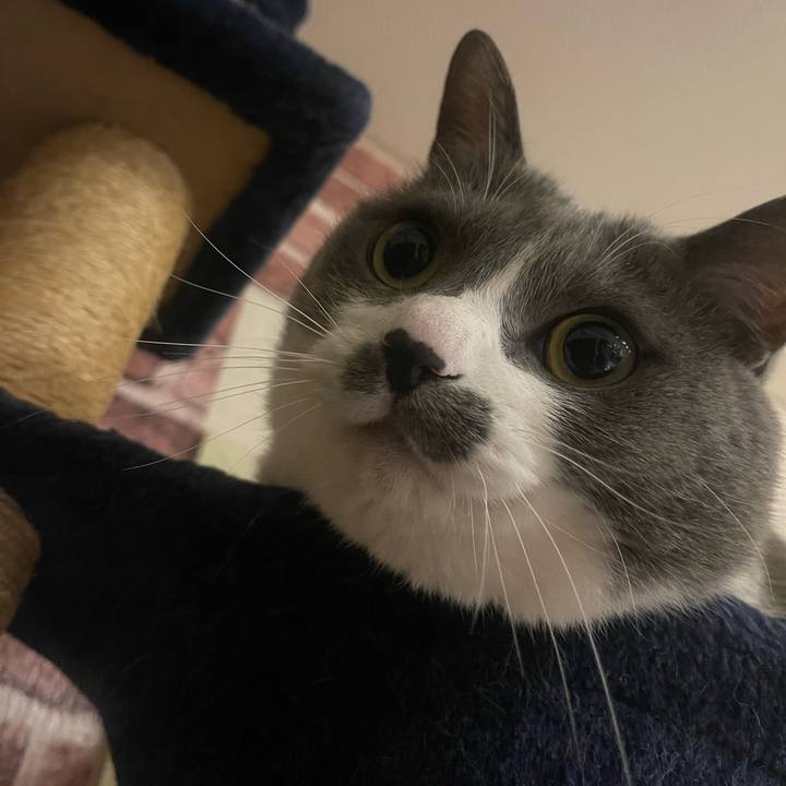 Ffd91483 9faa 479e ae7a 42ee5c5a8c8d 1744637302688