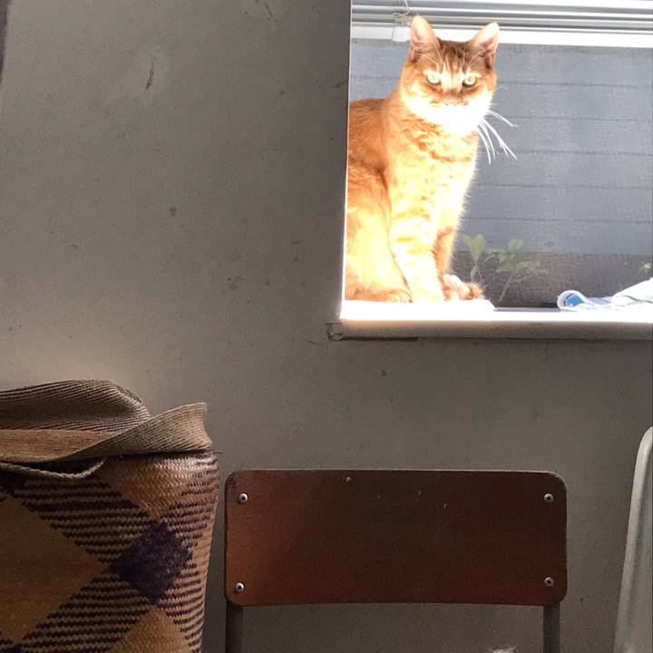 Ffd917ab 47ea 4a1f 9569 ba5268e17a49 1632269701446