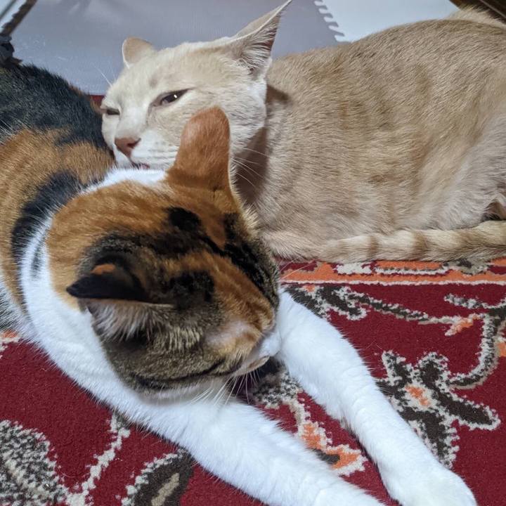 Ffd94074 a5ee 4e3e 87da a4d9c71be8ee 1667295709967