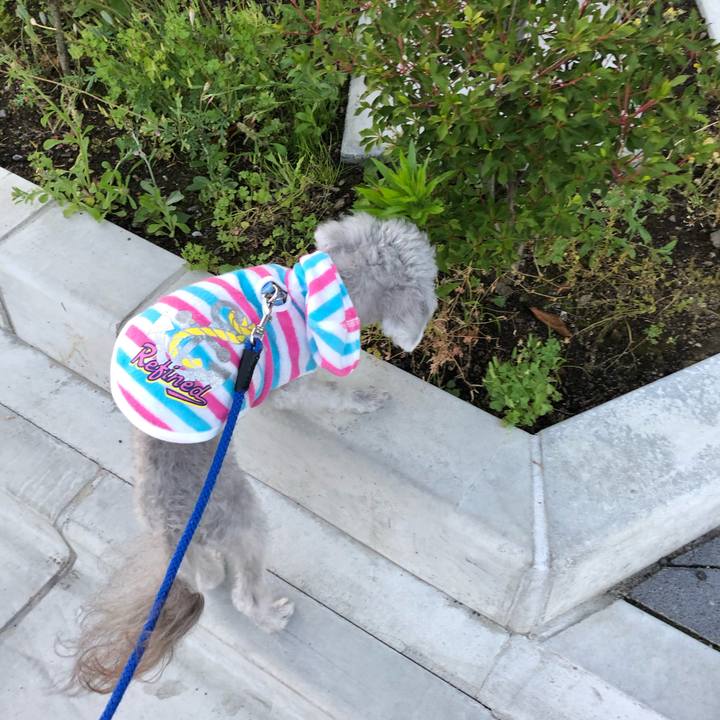 Ffd942c0 fd30 47df bee1 15da92f307f2 1590380695776