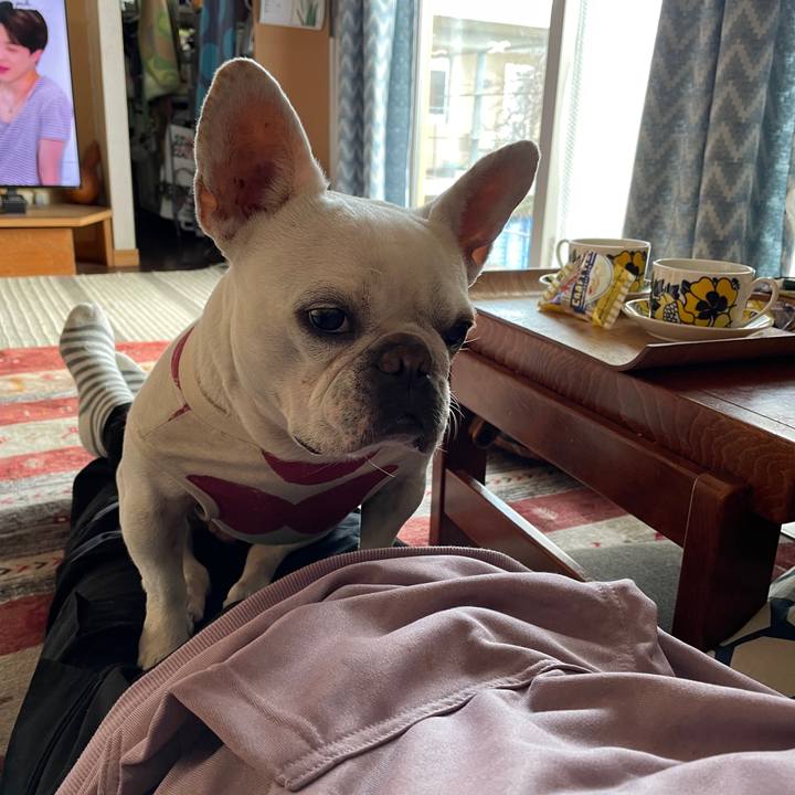 Ffd94a07 4cf7 4483 8bfa 6549507be275 1739921135456