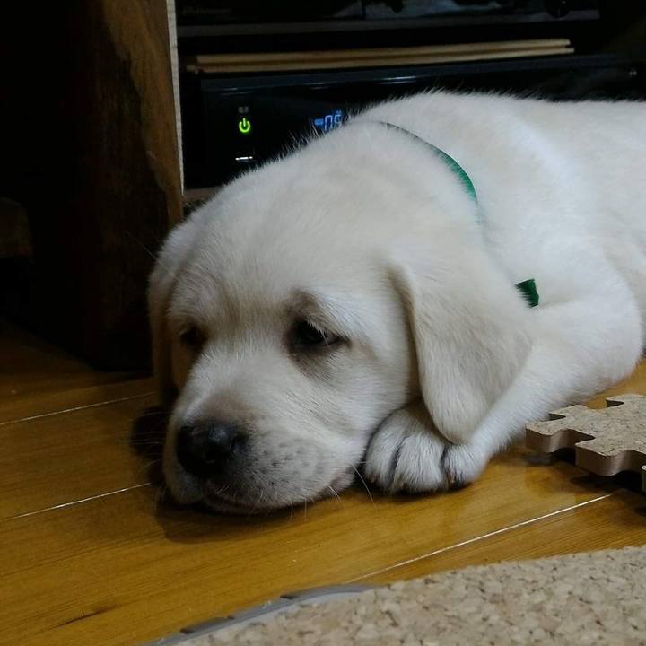 Ffd95029 cb62 41d3 951a 7842dec36095 1619197772723