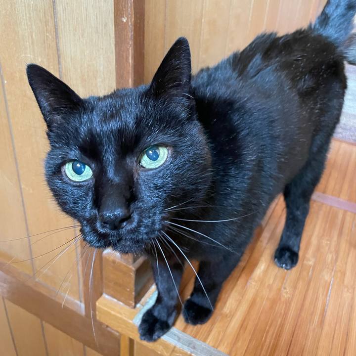 Ffd98563 cfd1 409a 91e3 d5e95fbac09d 1646705654500