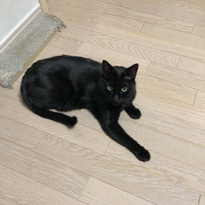 Ffd98dae 6139 4525 9ed3 f6100579bda1 1608643586810