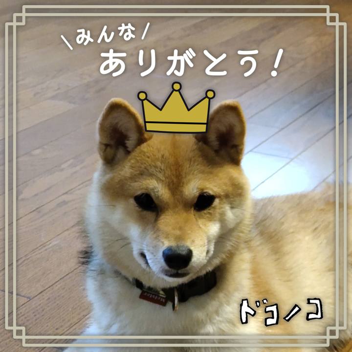 Ffd9b634 e827 4771 927d 0ff09fa1deb8 1622900028007