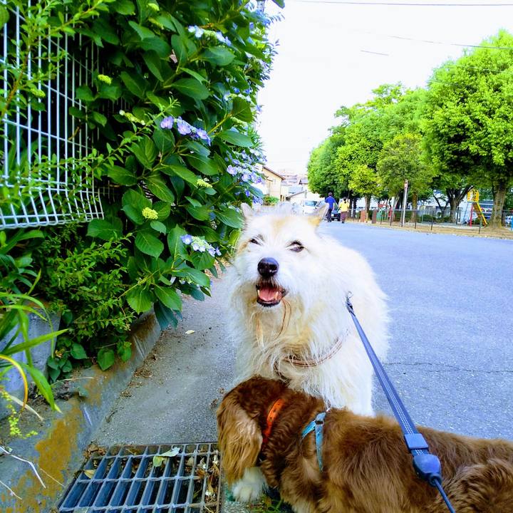 Ffd9bfc7 9b39 4e63 a6b2 591e2bfd8ed4 1559382874159