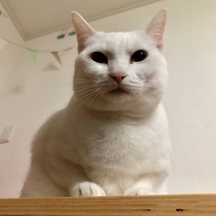 Ffd9c17b 1b0d 45ff b67f 9f0c415c3c2c 1525037628682