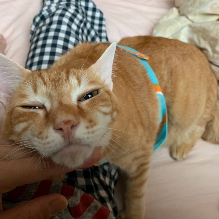 Ffd9d170 d192 40c0 a1fb b50ca4c37818 1561324382758