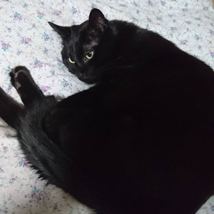 Ffda0df6 e812 42c3 985d dbb144ebe651 1514625238178