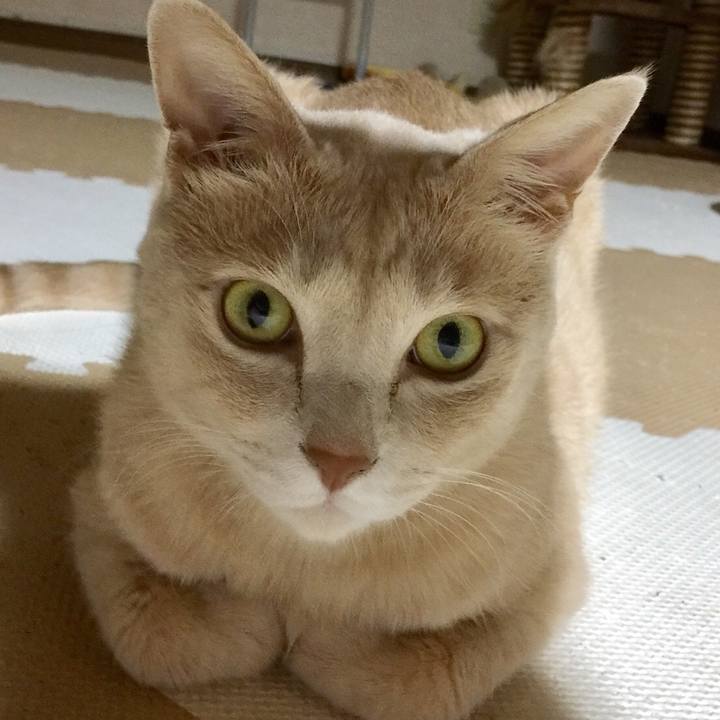 Ffda4008 466b 4585 8fe0 4a94e7653447 1536647172192