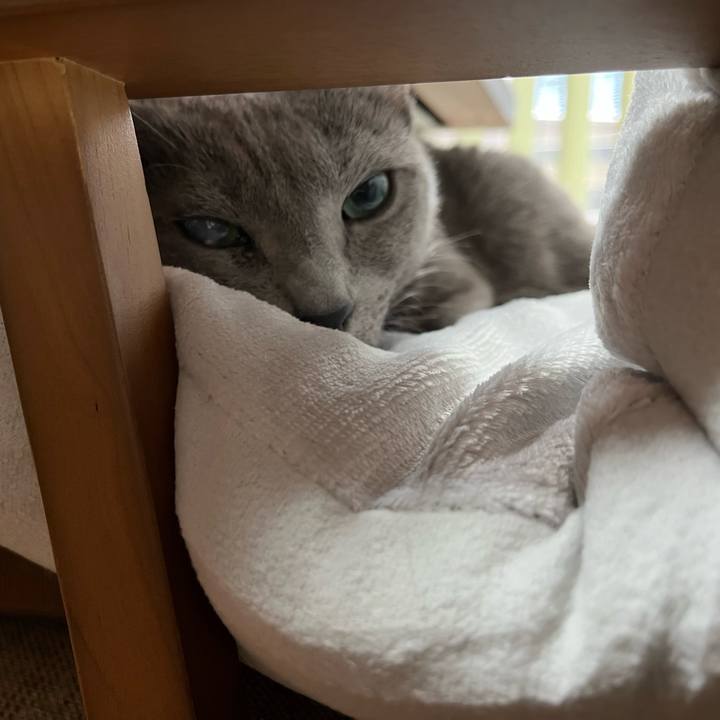 Ffda5769 8653 4ed7 af05 717c48c95226 1699763593287