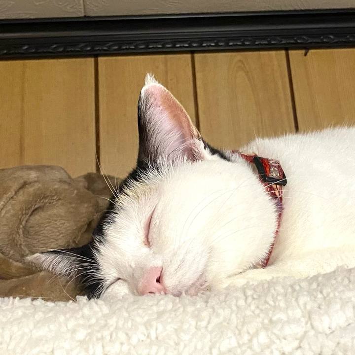 Ffda7e5e 93a5 4495 998e 50a1a8f41d7f 1672746413371