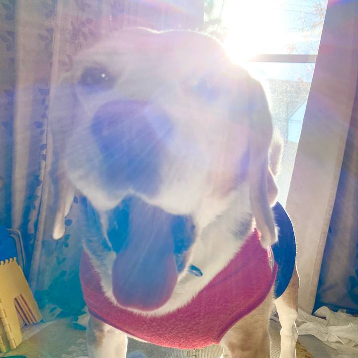 Ffda8219 0baa 492c 82c5 82bbff82ce77 1608007641563