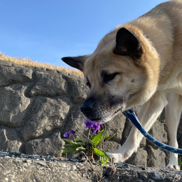 Ffda85a7 86a1 4e99 8dcd 30a368d08403 1649245403303