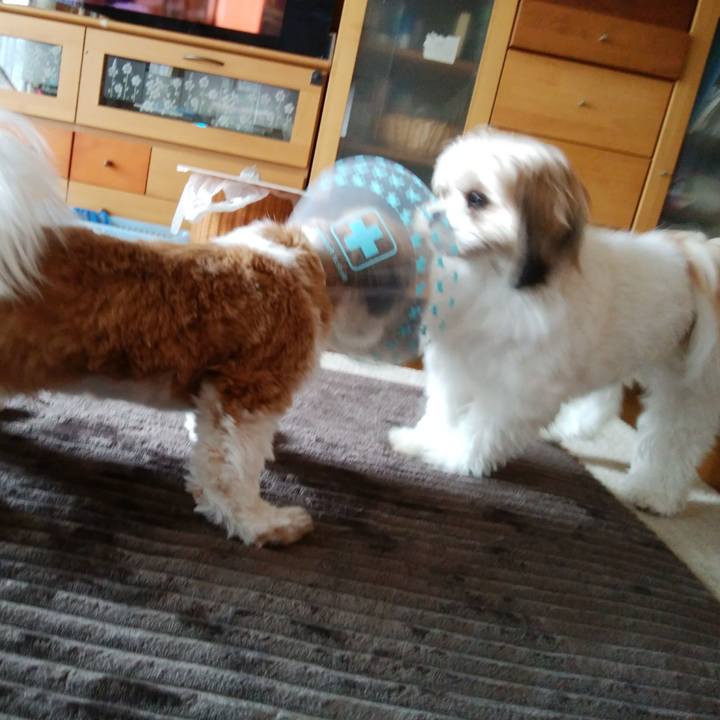 Ffdaa5db a6b0 4c94 8296 d2211162c3d4 1542169575848