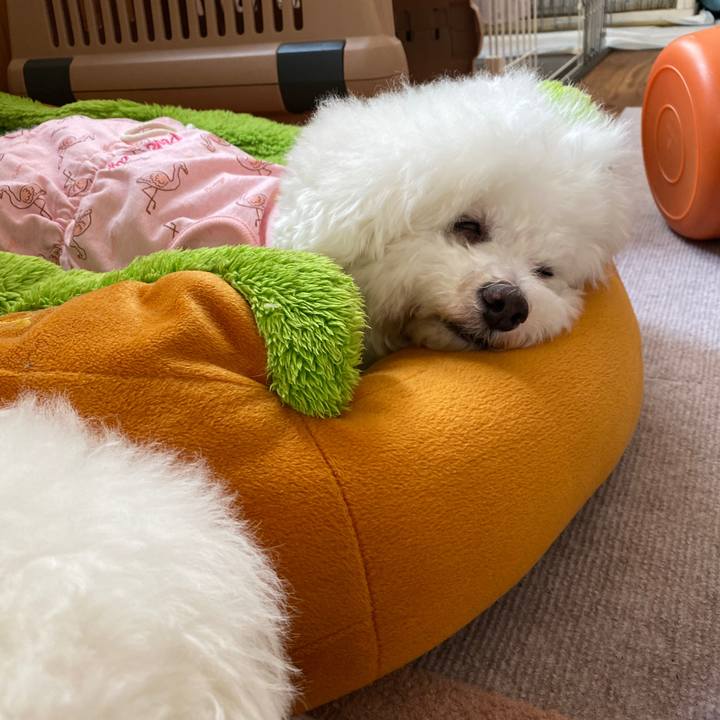 Ffdab5af 3cfd 4a5c b2a8 49ad4d556c95 1621061283757