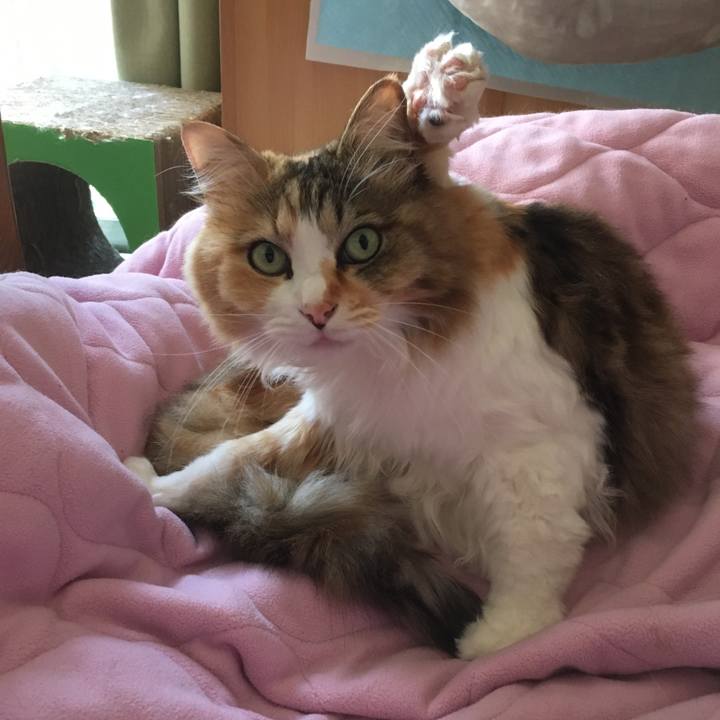 Ffdae885 8ea3 41a0 bb25 4a28930c9368 1623459876398