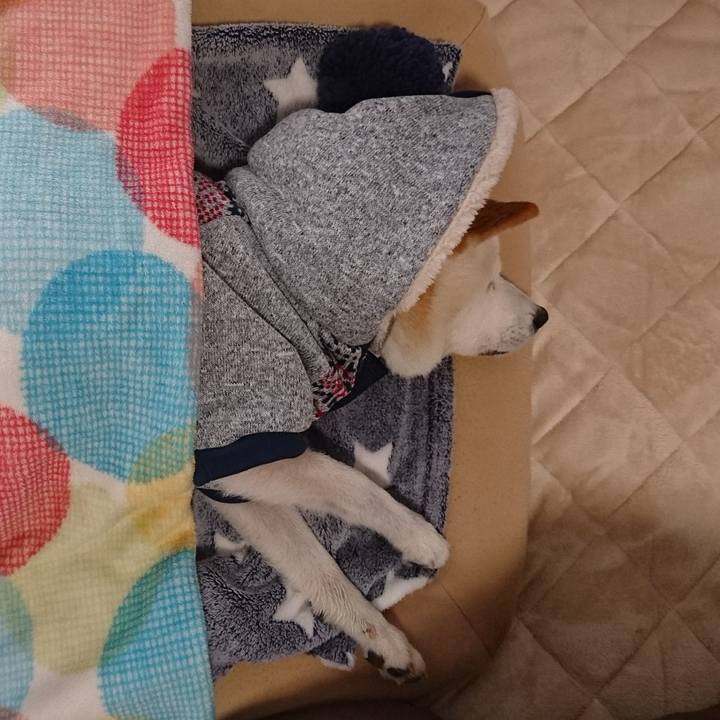 Ffdaee8b c7cc 48a4 924a b0de3764e130 1513209657328