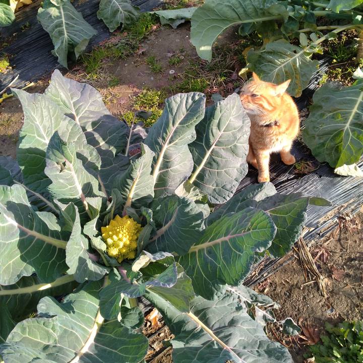 Ffdb0d54 ccff 4216 99c4 18cadc41a715 1702541431325