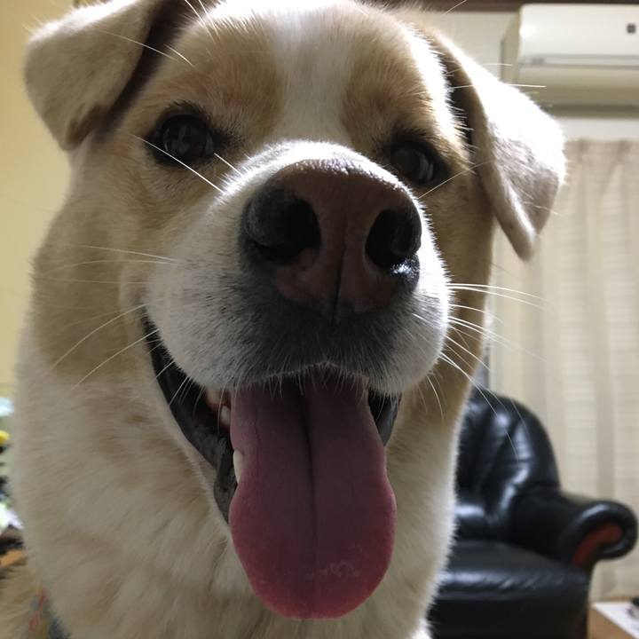 Ffdb4dc5 099d 4b29 8c0f 6d553158a5a5 1538733022544