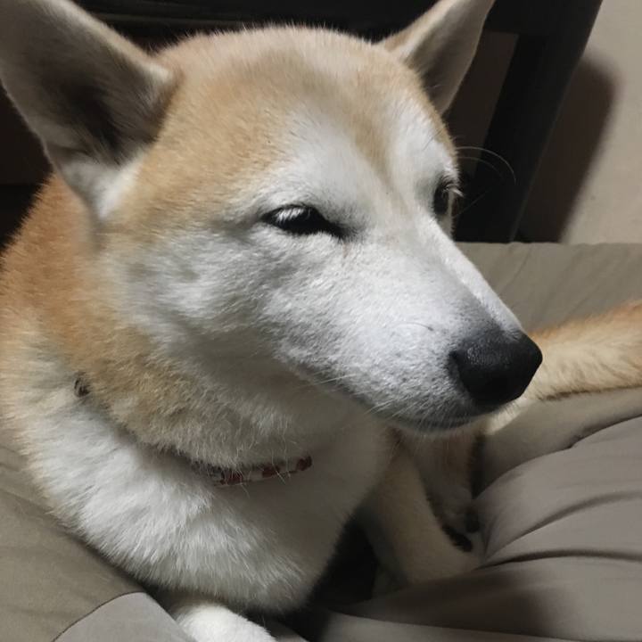 Ffdb59fa 028f 452f b573 f153df57c3cc 1507906581364