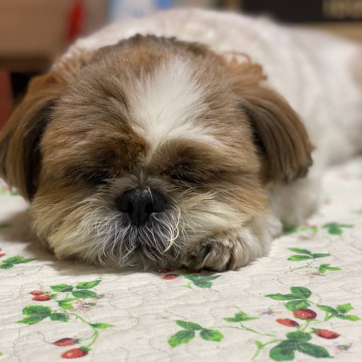 Ffdb81db 7294 4fee b193 6f01ce44e112 1597475651336