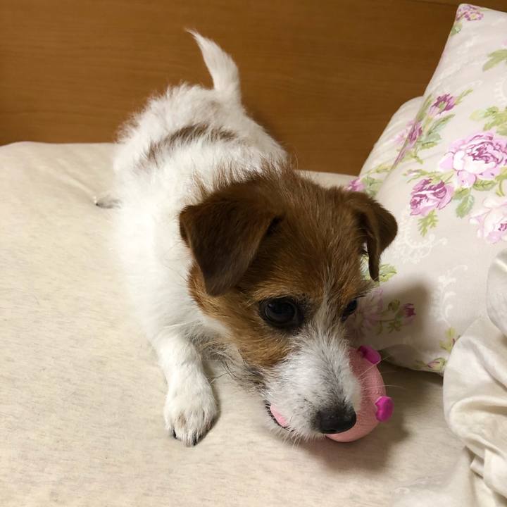 Ffdb8f16 cd7f 4785 923c ea3004ed90ae 1557842944532