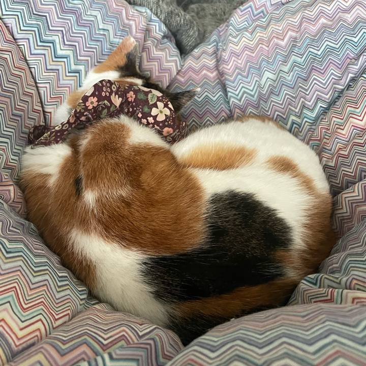 Ffdb933e 1593 4f12 be77 ca475288054b 1764560130445