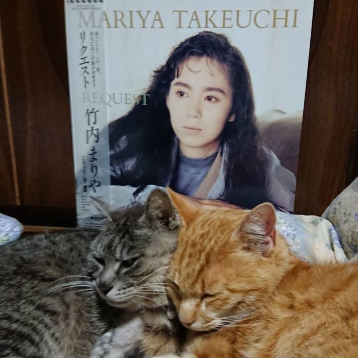 Ffdb956f f101 4c06 85a4 5fe18d4be257 1590064634245