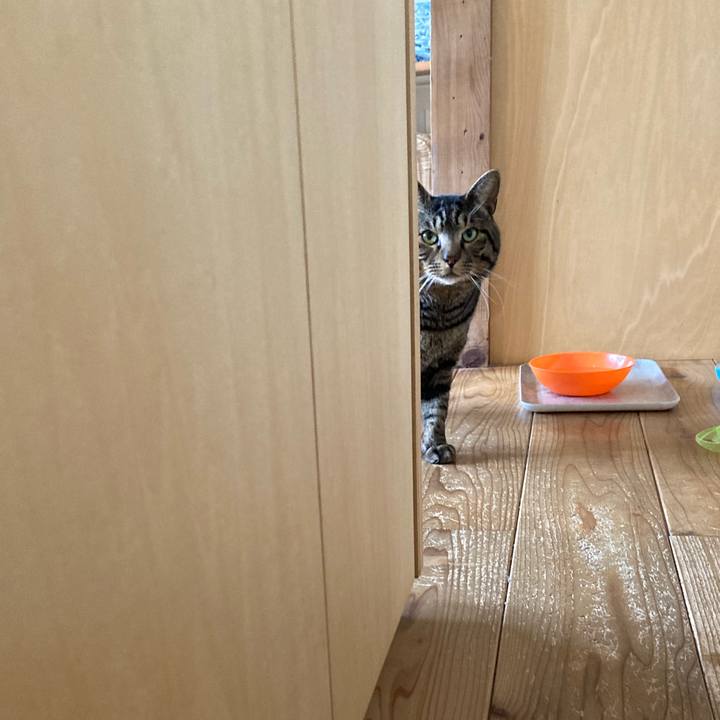 Ffdbb764 2d81 40e9 a9d8 fbe609460828 1675382131193