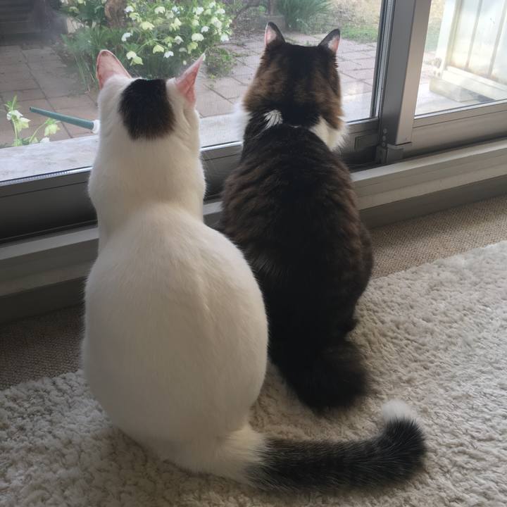 Ffdbbf7e 4093 4c08 8eb4 c6f48c116d2d 1522562777566