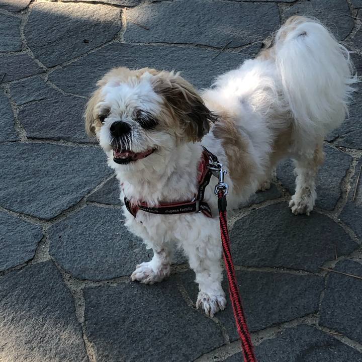 Ffdbd2de 94f7 48e9 ac56 321240b361b3 1627249574185