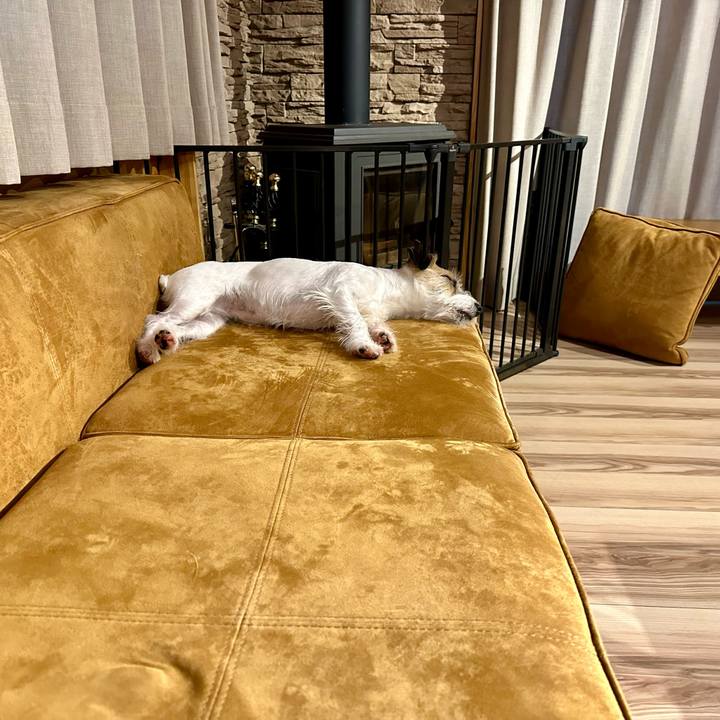 Ffdc0c6b 1807 407f 81d3 ec62b8c75378 1717154360936