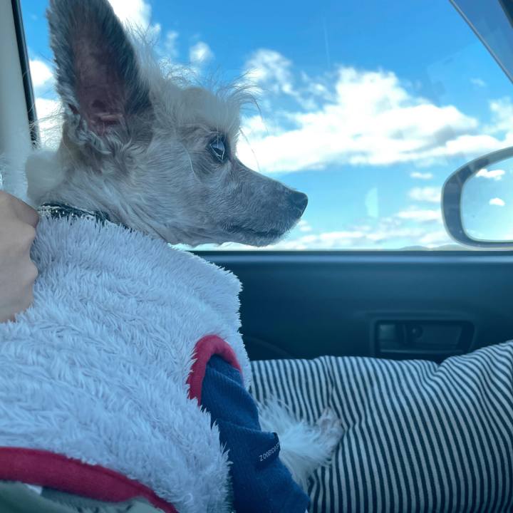 Ffdc312f fcb9 4c41 8c39 e761c8741836 1761206447002