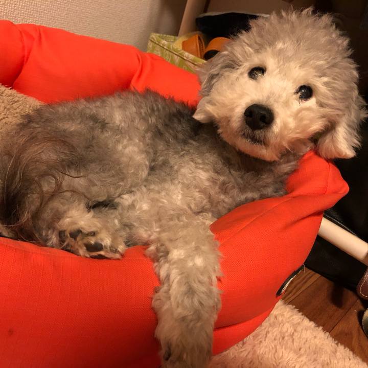 Ffdc35fe 4259 4024 81d0 5ac79e37420e 1562195864355