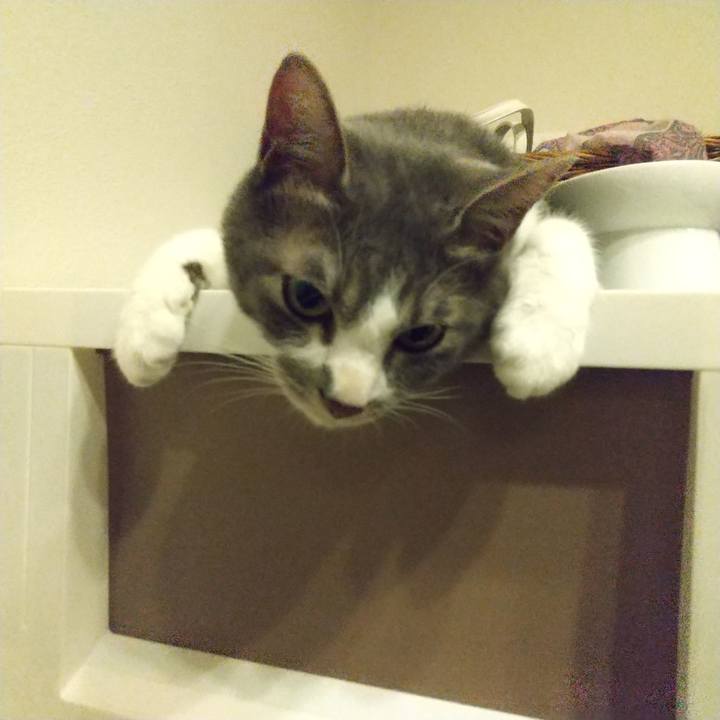 Ffdc7cf6 aed0 4561 b0bb 637fc11bfe8b 1621001905210