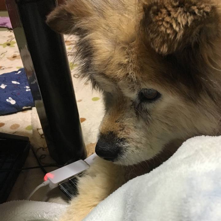 Ffdcab3e d6ff 4a78 9a99 7709fde819ec 1610927498087