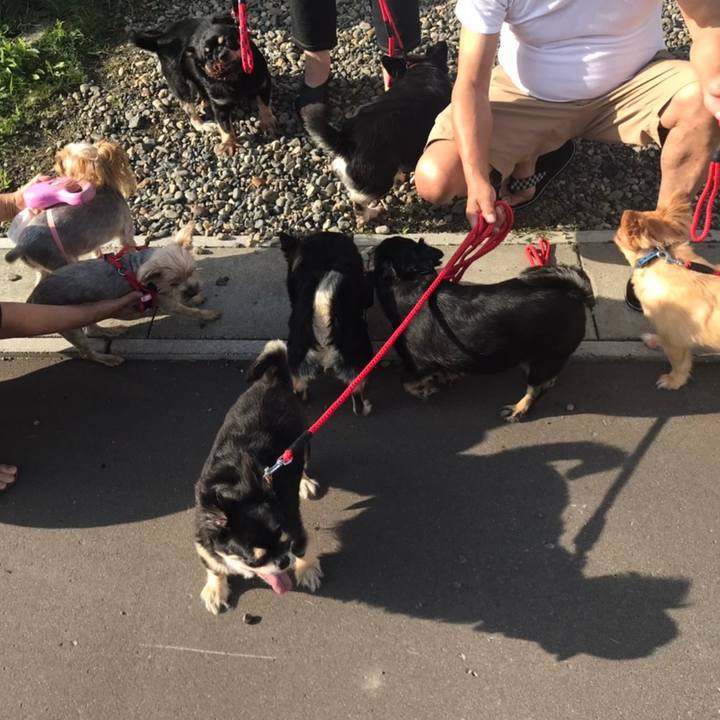 Ffdcf717 c42c 45eb a8c9 e72a7cd74398 1597662129297