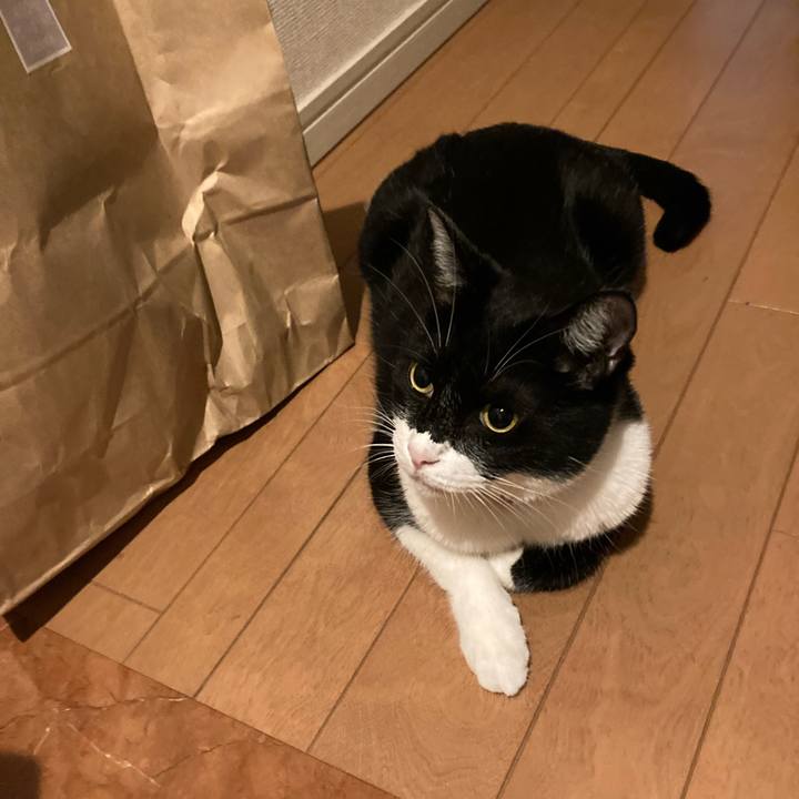 Ffdcfcdb 1404 4e9b b124 14bde006d0b8 1659358515886