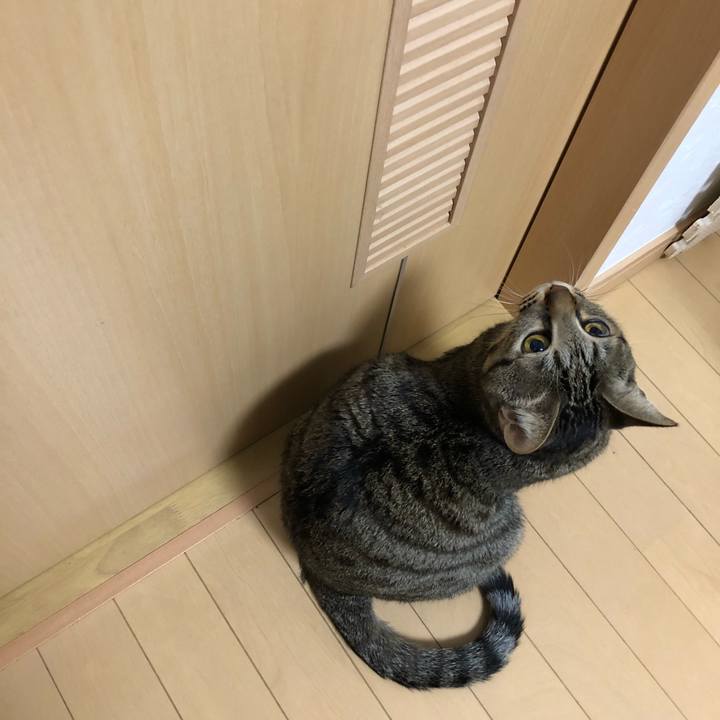 Ffdd0306 47ef 4b26 9a8d ac984b78c734 1518191153280